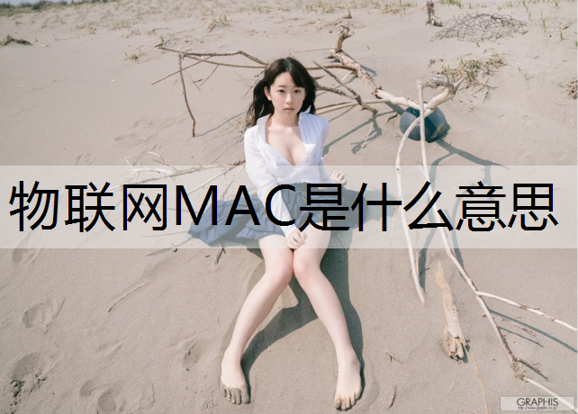 物联网MAC是什么意思