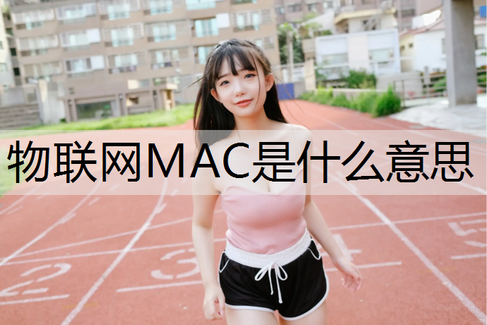 物联网MAC是什么意思